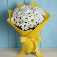 Букет цветов из:  Хризантемы в Орехово-Зуево