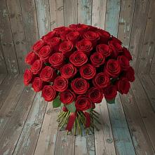Букет 55 Красных роз Фридом #REPLACE_PRED# Орехово-Зуево