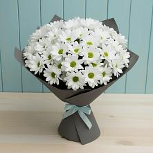 Букет цветов из:  Хризантемы в Орехово-Зуево