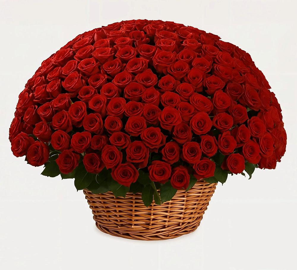 Премиум букет из: Розы в Орехово-Зуево