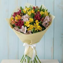 Букет цветов из:  Альстромерии в Орехово-Зуево