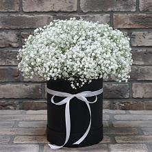 Цветочная композиция из Гипсофила в шляпной коробке в Орехово-Зуево